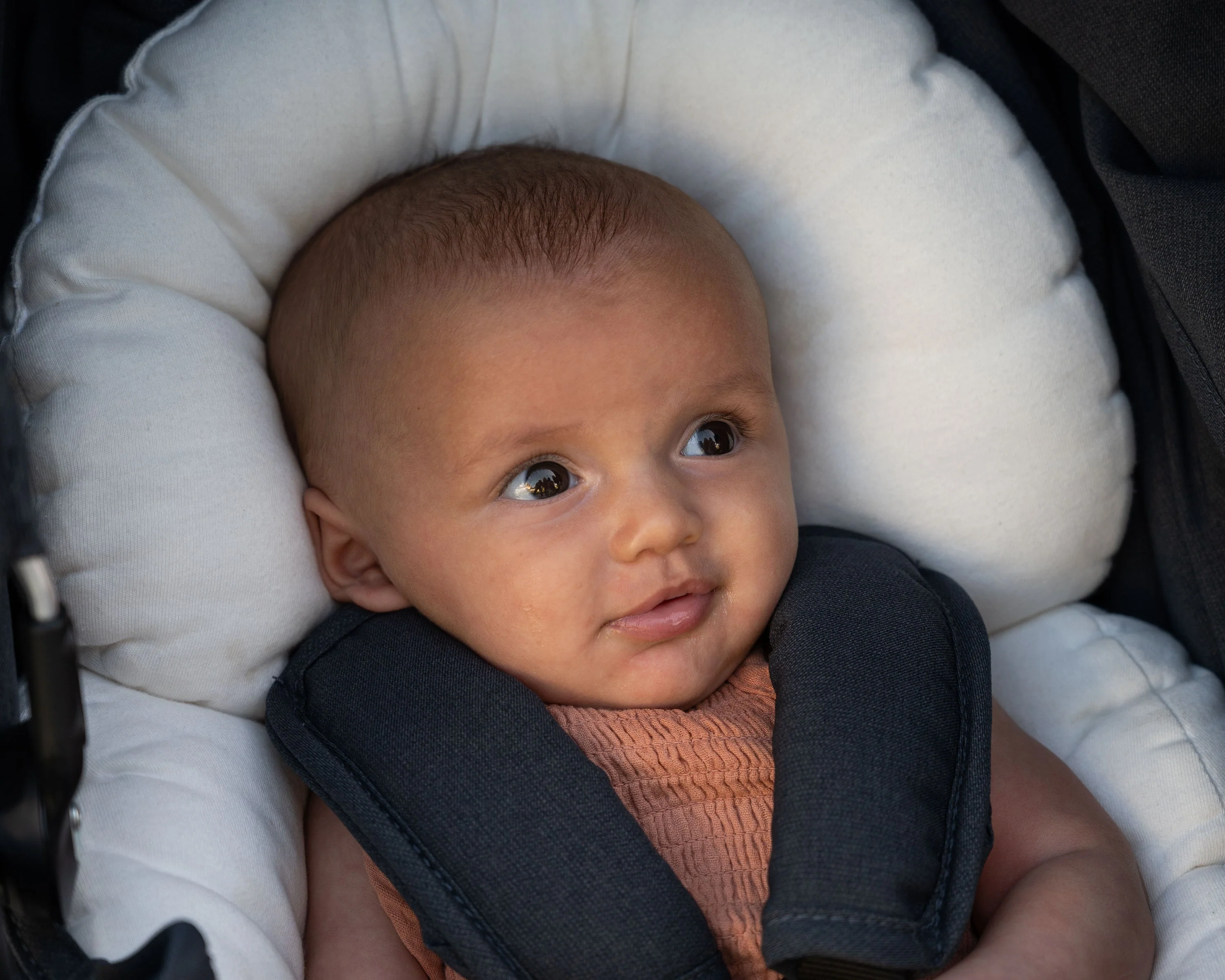 Bumbleride Organic Cotton Infant Insert - Image 5