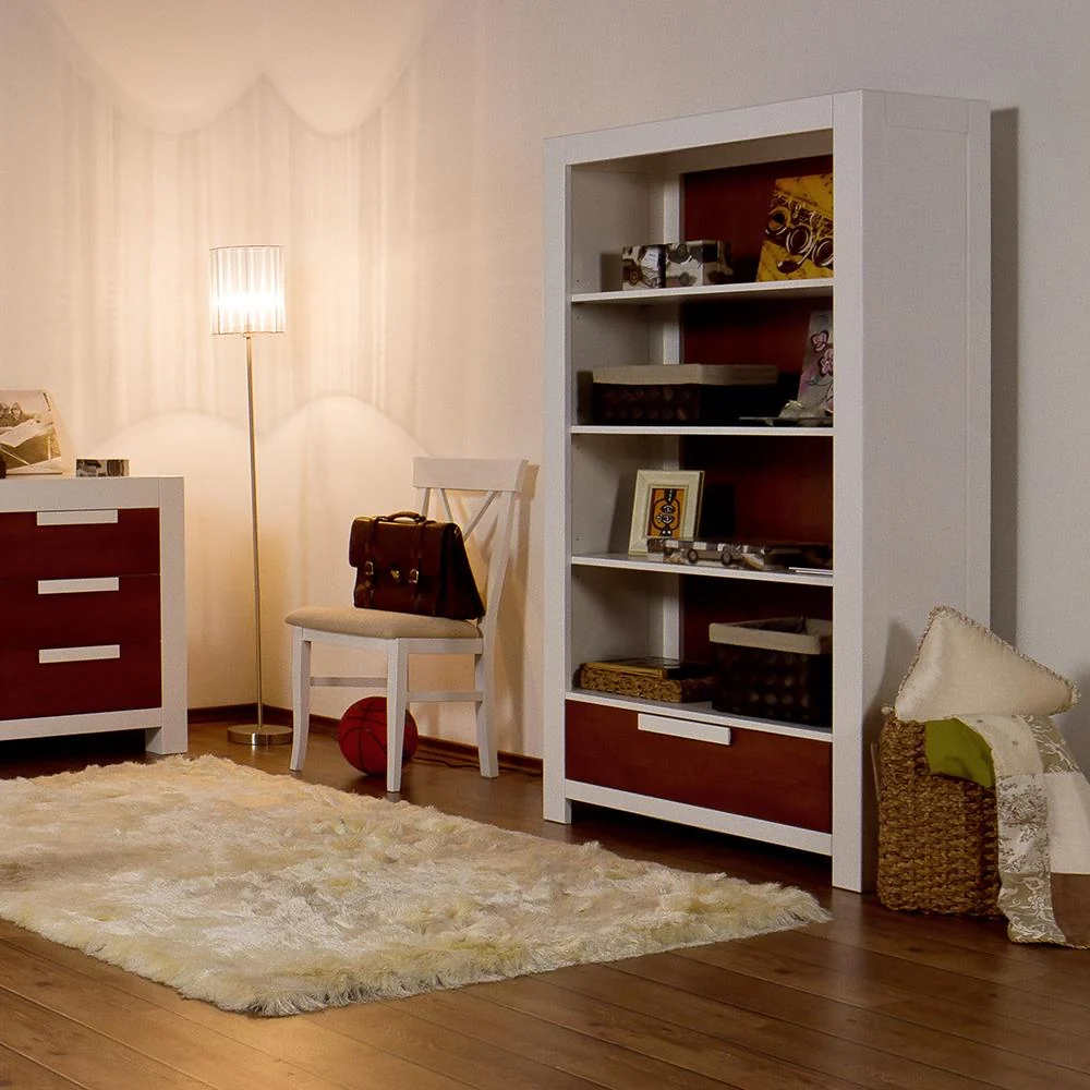 Romina Ventianni Bookcase - Image 8